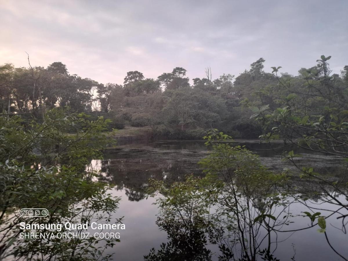 Shrenya Orchidz-Coorg Nature Stay Madikeri Luaran gambar