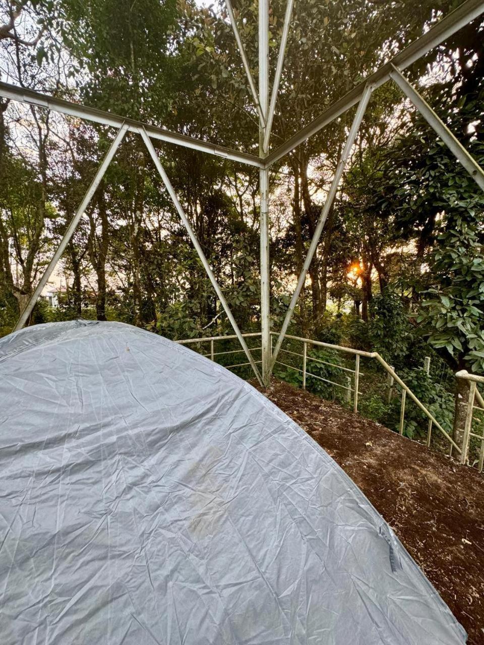 Shrenya Orchidz-Coorg Nature Stay Madikeri Luaran gambar