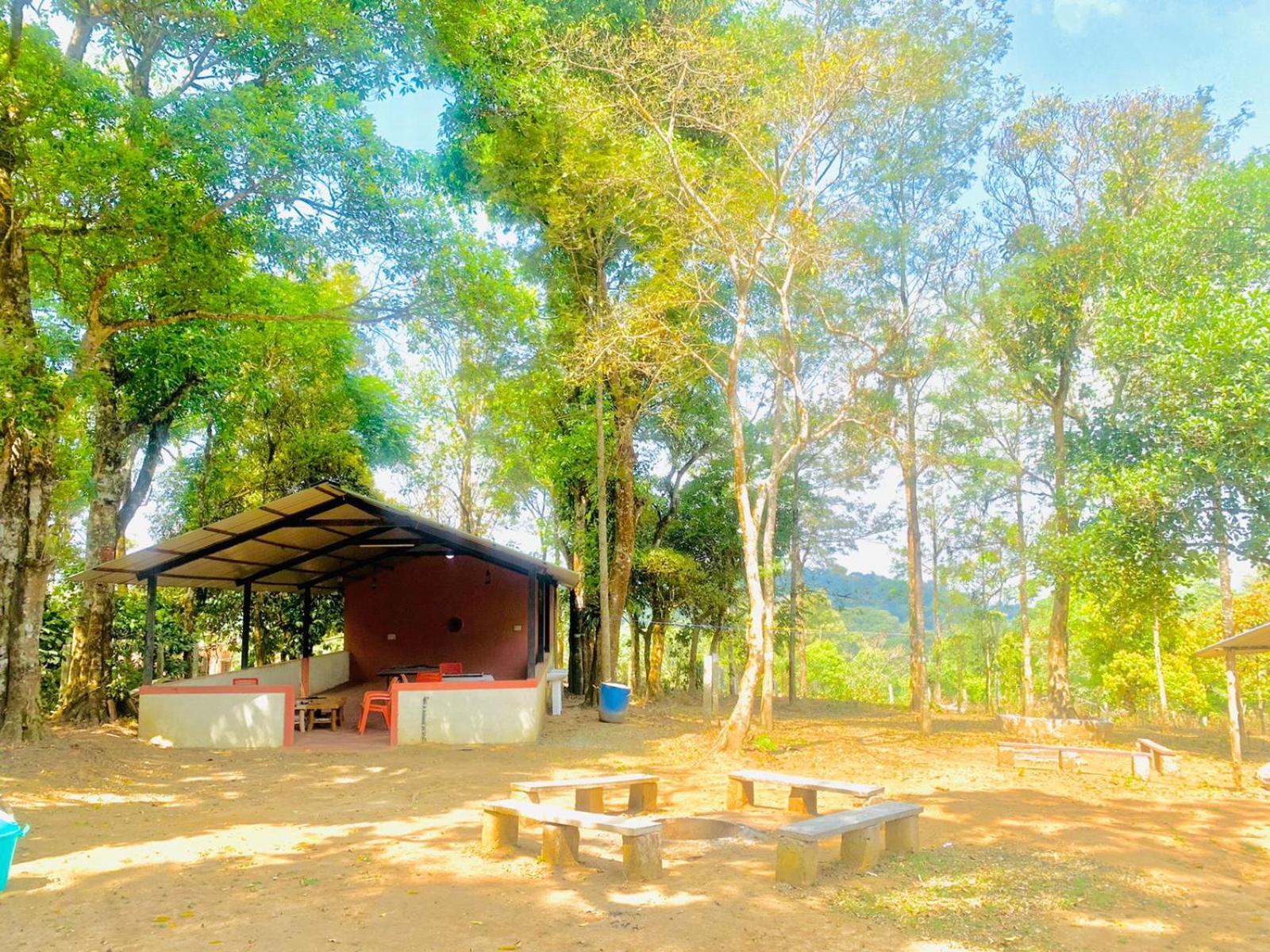 Shrenya Orchidz-Coorg Nature Stay Madikeri Luaran gambar